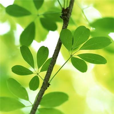 萌萌公主换装物语手机版(暂未上线)v1.0 安卓版